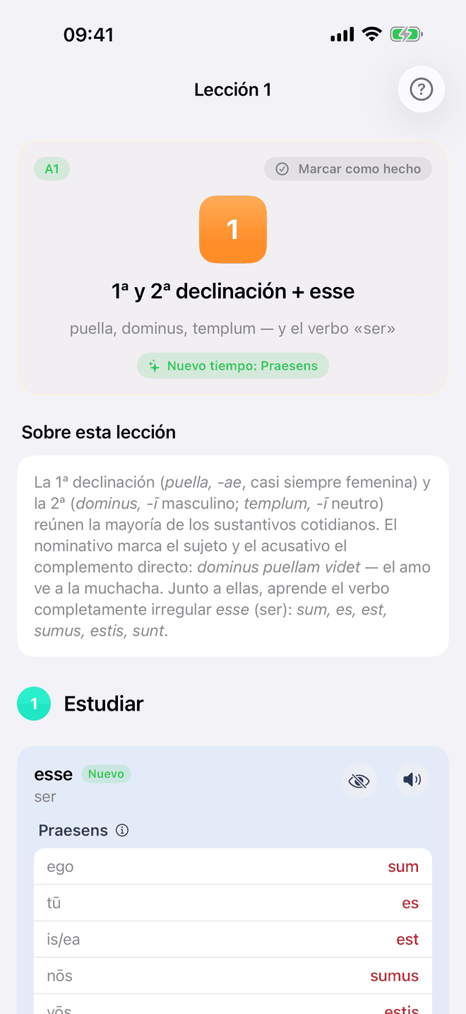 Lecciones de gramática