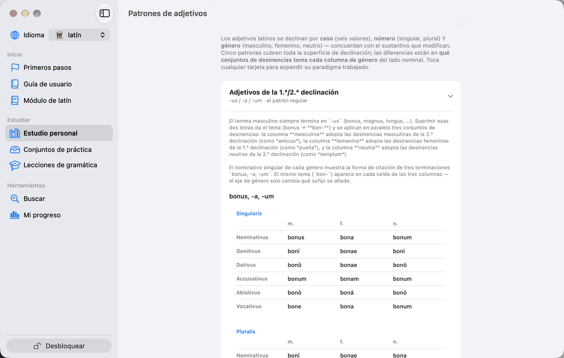 Adjetivos y el ejercicio de concordancia