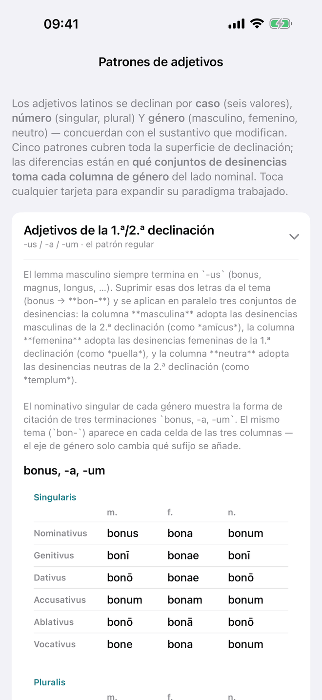 Adjetivos y el ejercicio de concordancia