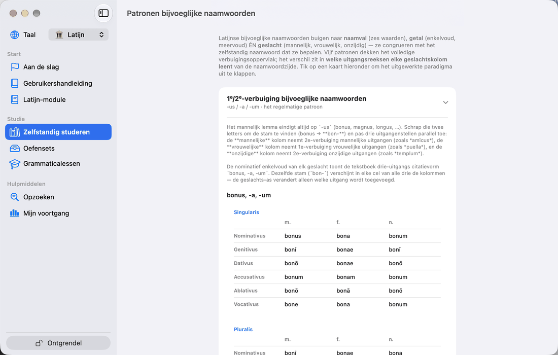 Bijvoeglijke naamwoorden en de concordantie-oefening