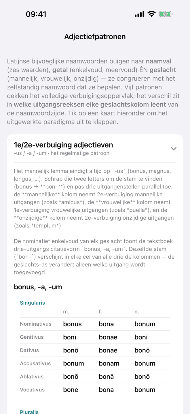 Bijvoeglijke naamwoorden en de concordantie-oefening